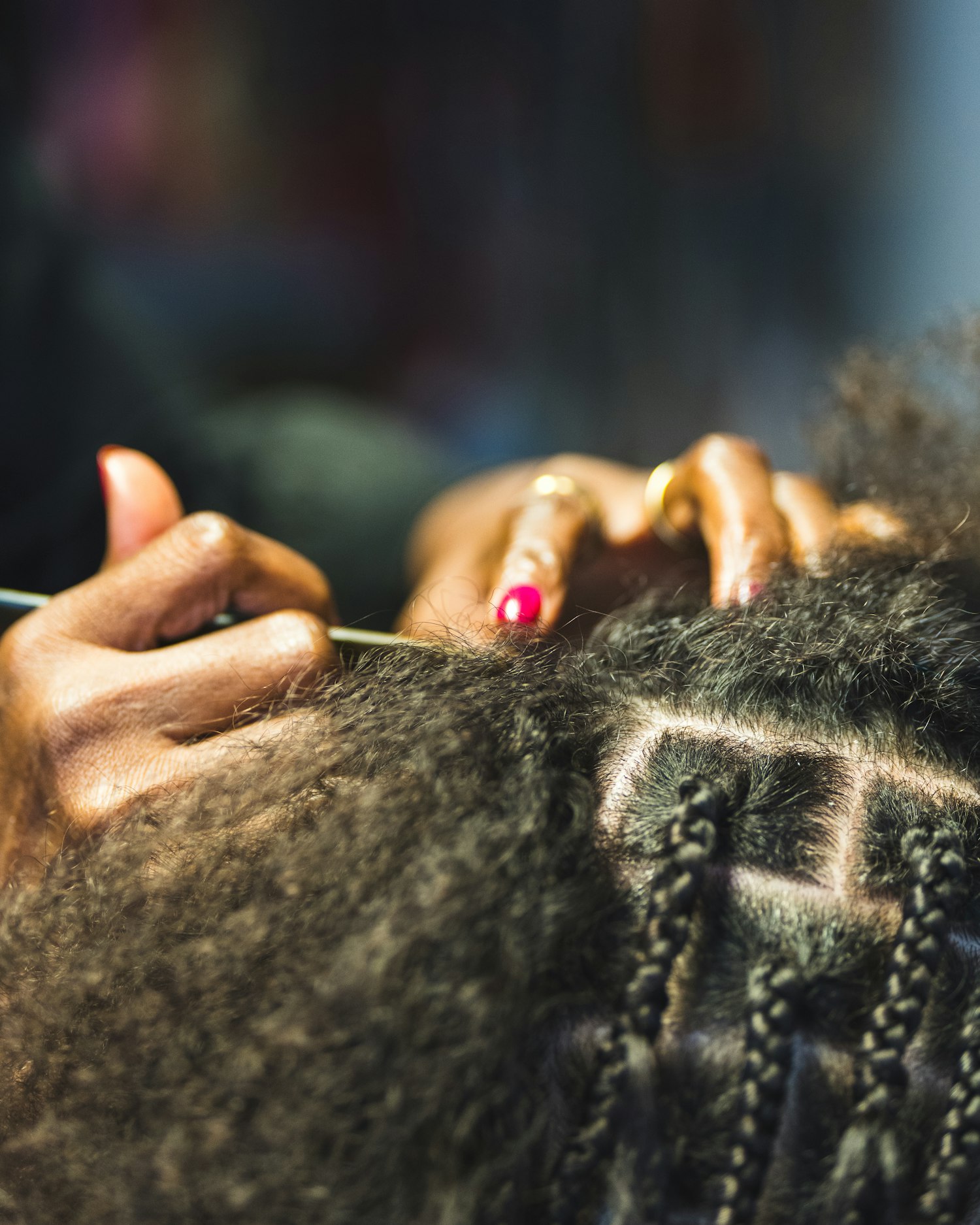 Hair parted into neat sections for braiding